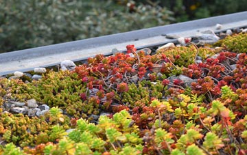 the cost of Catterall green roof installation