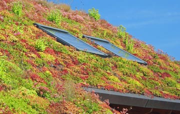 Catterall living roof systems