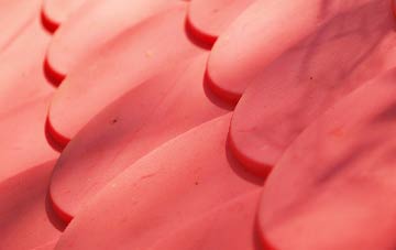 Catterall plastic roof costs