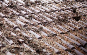 Catterall roof cleaning companies