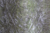 Catterall fibreglass roof work